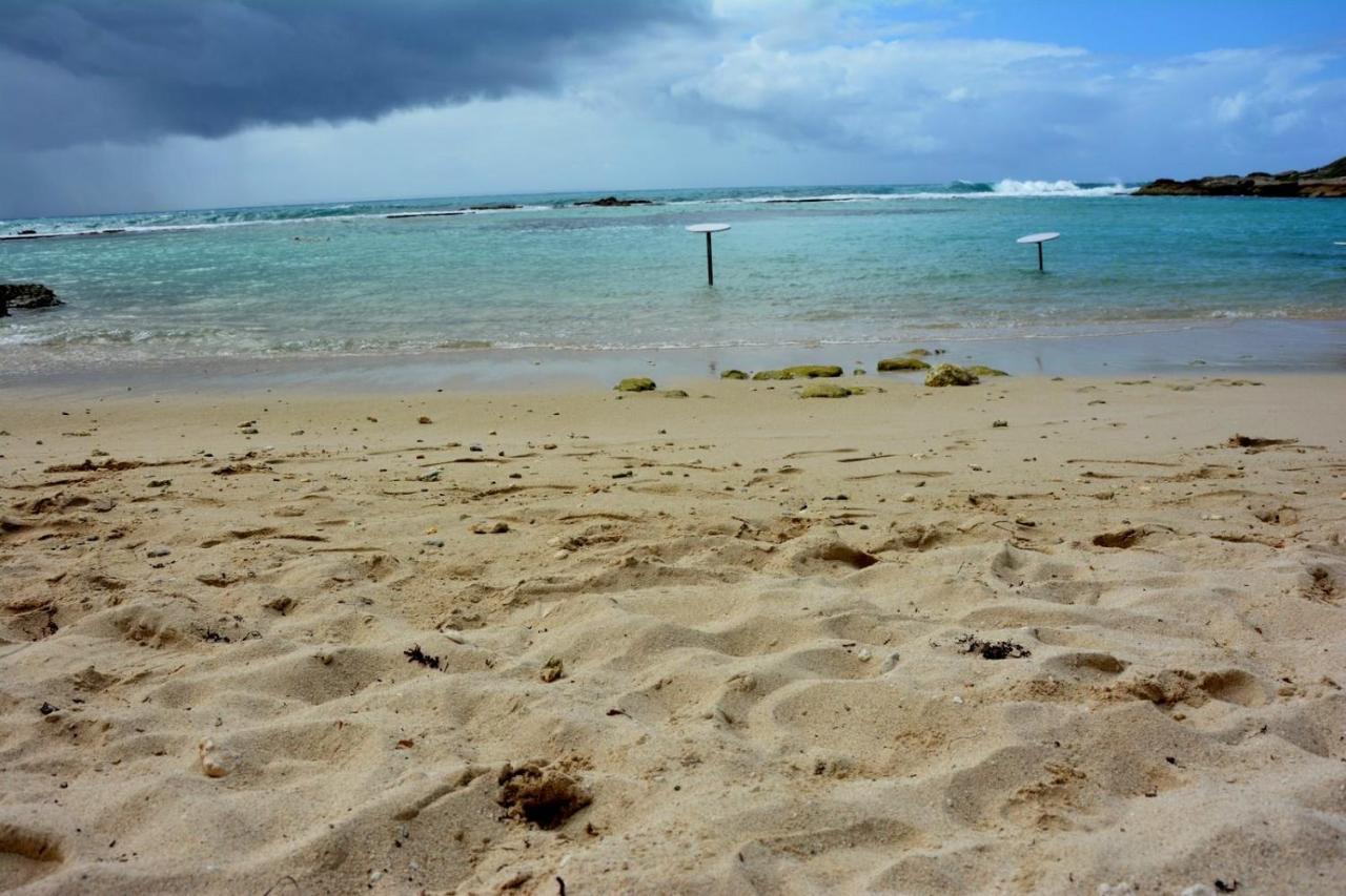 Studio Manganao Saint François Piscine&Plage Extérieur photo